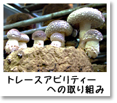 �ʐ^�F�g���[�X�A�r���e�B�[�ւ̎��g��